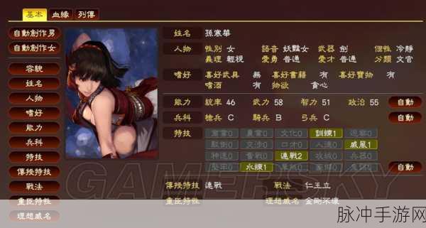 三国志13威力加强版，揭秘最强战术攻略