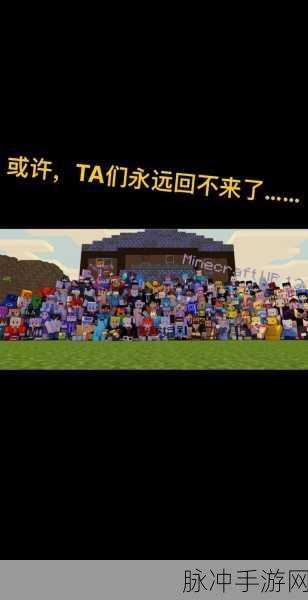 我的世界手游深度攻略，揭秘小本、天骐与仙仙的神秘面貌