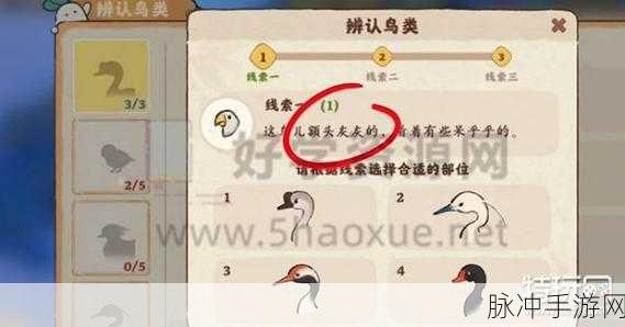 桃源深处有人家，详尽鸟类辨认攻略指南
