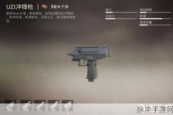 和平精英金玉无双UZI全面解析，尊贵外观与卓越性能的完美结合