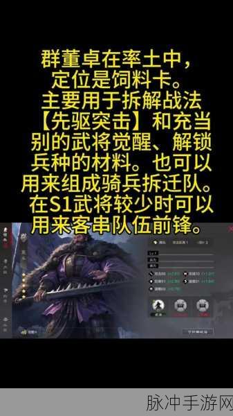 三国志战略版，骑虎难下与净化搭配效果深度解析