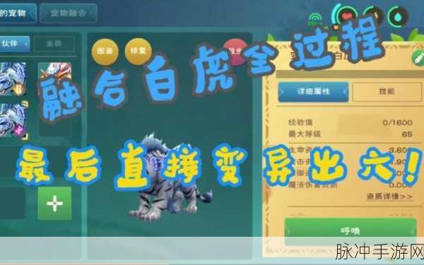创造与魔法，咬金白虎捕获全攻略