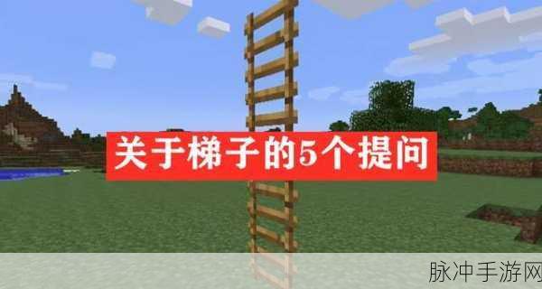 我的世界手游，梯子制作全攻略大揭秘