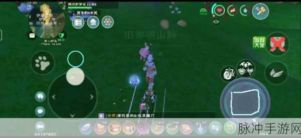 创造与魔法潮流陆行鸟位置捕捉全攻略