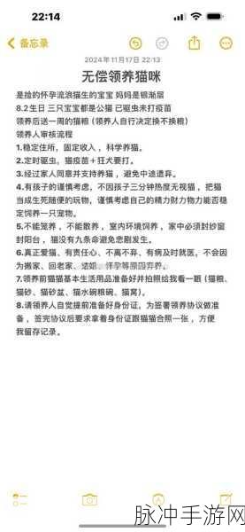 小森生活领养猫咪秘籍，让可爱猫咪伴你同行