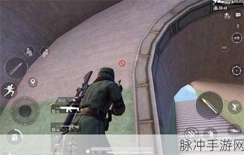 和平精英攻略，揭秘老六衣服获取之道
