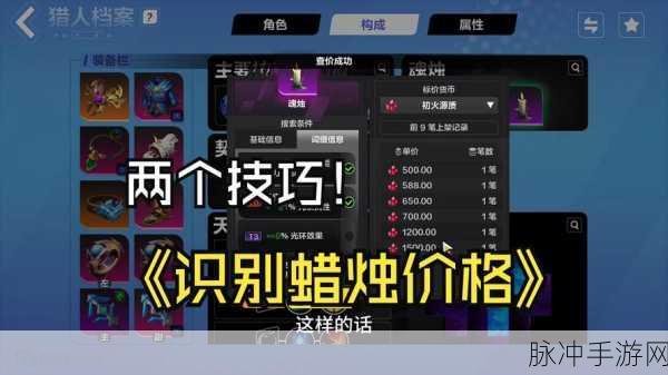 火炬之光手游攻略秘籍，最强宠物推荐指南——您的宠物选择决策宝典