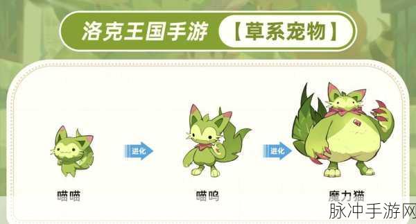 洛克王国宠物超进化地点大揭秘