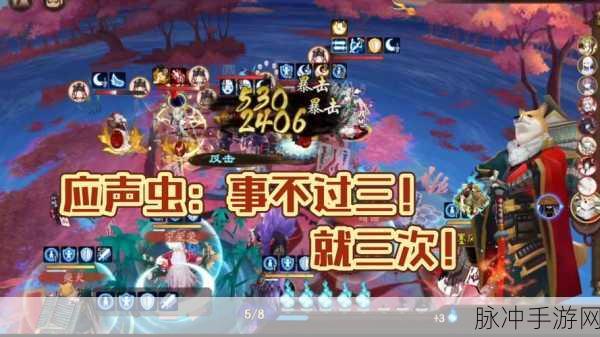 阴阳师2024，待宵姑获鸟御魂搭配深度解析