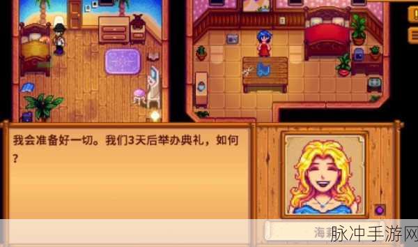 星露谷物语，揭秘如何进入海莉的密室