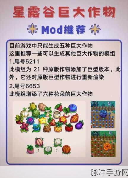星露谷物语，温室最大化利用策略——提升作物产量与效率的全面攻略