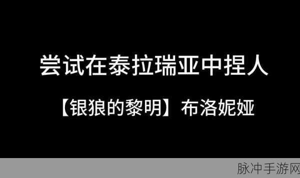 泰拉瑞亚捏脸秘籍，打造高颜值角色的艺术