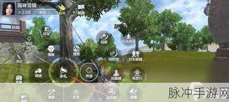 妄想山海，探寻异土接引人的神秘所在