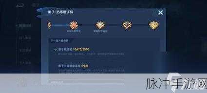 王者荣耀城市徽章4级攻略，解锁特权与快速升级秘籍