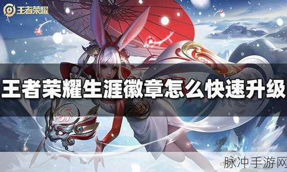 王者荣耀城市徽章4级攻略，解锁特权与快速升级秘籍