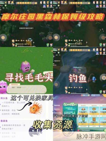 摩尔庄园手游对话毛毛头奖励全解析