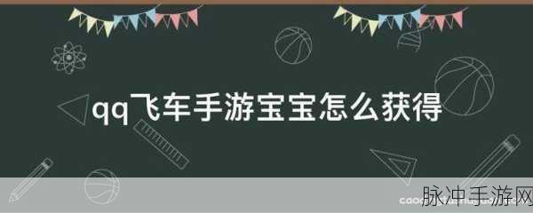 QQ飞车手游宠物升级攻略详解，解锁宠物快速跃升等级的有效方法