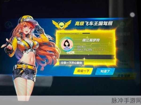 QQ 飞车手游，高级驾照的考取抉择与深度解析