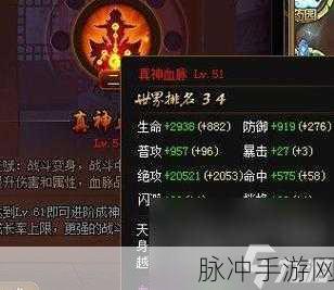 深入探究神仙道游戏中封灵功能的开启等级与详细玩法