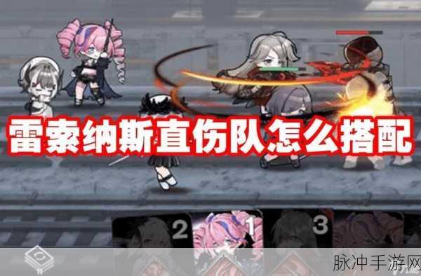 雷索纳斯夏洛蒂队伍搭配深度解析与推荐