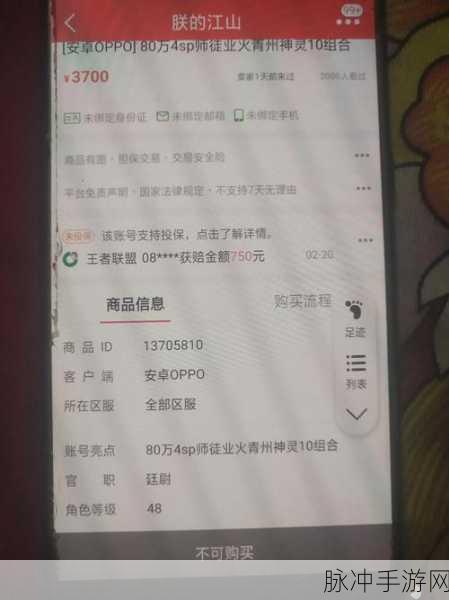 转转订单冻结解除全攻略，手游玩家必知