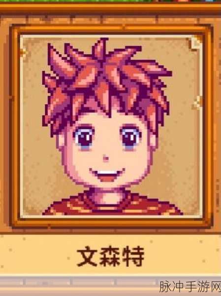 星露谷物语，探索文森特的奇妙世界