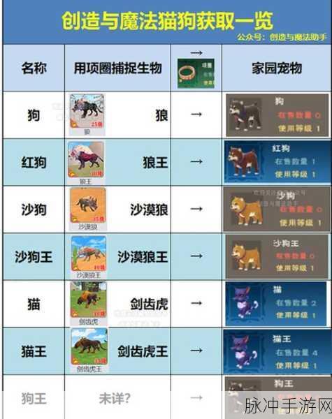 创造与魔法，宠物合成宝石全攻略