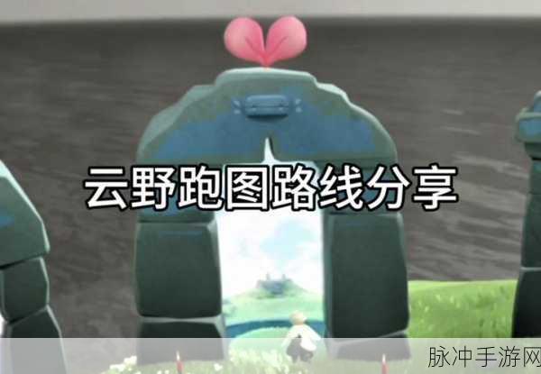 光遇星光沙漠黑暗植物位置全知晓