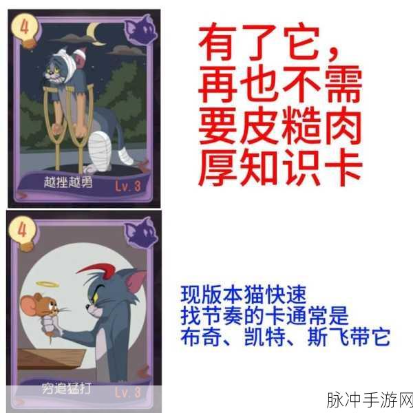 猫和老鼠手游，实用知识卡的最佳选择指南