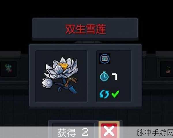 元气骑士天山雪莲，珍稀道具的全方位解析