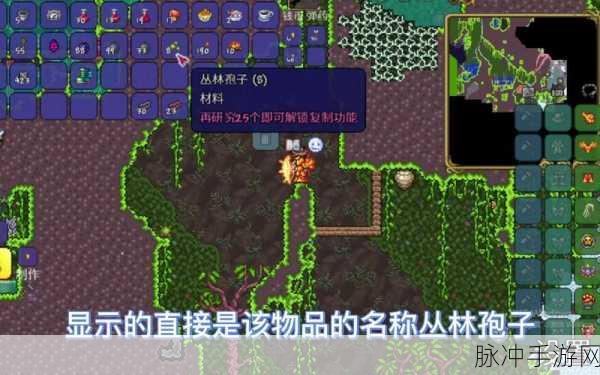 泰拉瑞亚夜光蘑菇孢子获取全攻略，解锁神秘孢子之旅