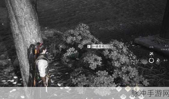 燕云十六声手游暗香浮动任务完成攻略与步骤详解