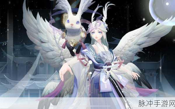 辉夜姬月夜星河皮肤深度鉴赏，阴阳师新篇章的璀璨星辰之旅