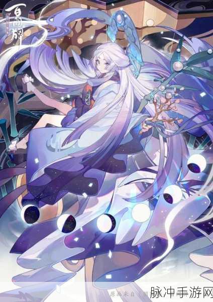 辉夜姬月夜星河皮肤深度鉴赏，阴阳师新篇章的璀璨星辰之旅