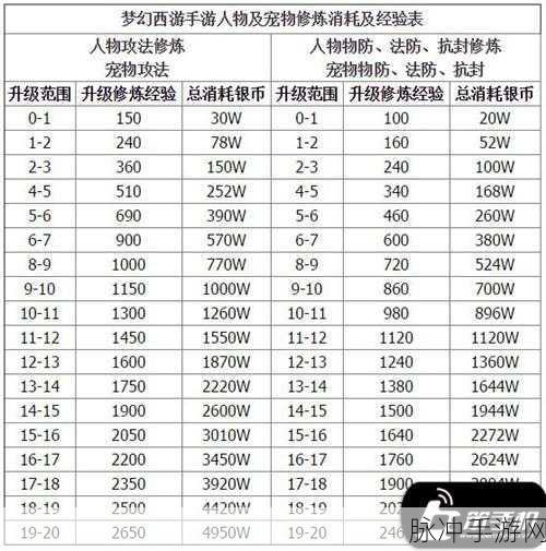 梦幻西游手游宠物攻法修炼深度解析