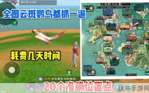 创造与魔法天空鳐饲料保底攻略,精准捕捉飞行坐骑的秘诀