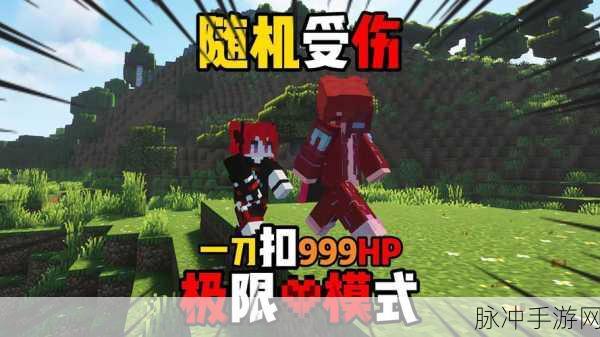 我的世界极限模式全攻略，挑战生存极限，征服无尽世界