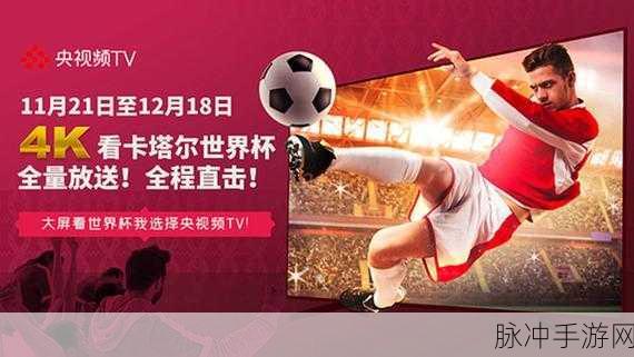 央视新视听在手游世界，解锁电视直播新姿势的攻略秘籍