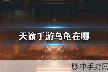 天谕手游寻龟之旅任务全攻略，解锁神秘宝藏的奇幻之旅