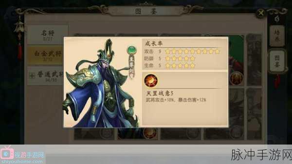 大唐无双武将装备解绑之谜，深度解析与指南