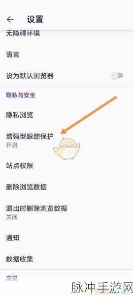 手游玩家必看，保护隐私，教你如何高效清除浏览器里的历史记录