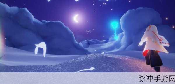 光遇星光沙漠玫瑰，探索奇幻世界的神秘向导