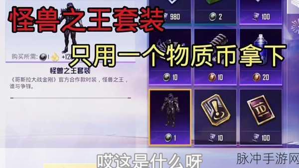 和平精英中物资币的正确使用方式与最佳用途深度解析