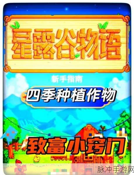 星露谷物语，财富密码大揭秘