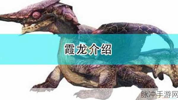 怪物猎人世界手游攻略，揭秘电气袋的获取之道