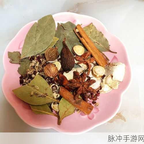 妄想山海中五香肉串儿的秘制攻略