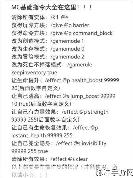 2022 我的世界召唤指令代码全攻略，助你畅玩 MC 世界
