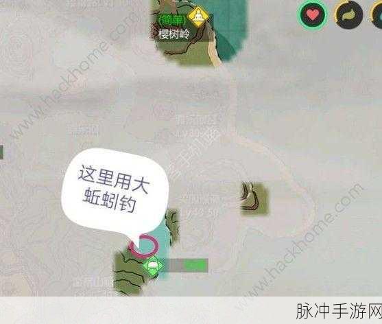 创造与魔法三文鱼钓法全攻略，解锁最佳钓点，揭秘高效钓鱼秘籍