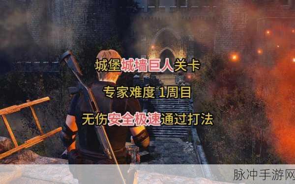 生化危机 4 重制版专家难度 S 通关秘籍大揭秘