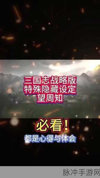 三国志战略版俘虏作用全面解析，策略致胜的关键